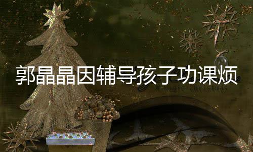 人启刚应酬辅导烦躁陪家郭晶功课孩子 霍晶因减少
